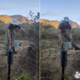 Triggering the camera for a reference photo